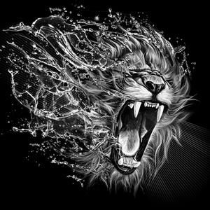 Meet your Posher, Gustavo